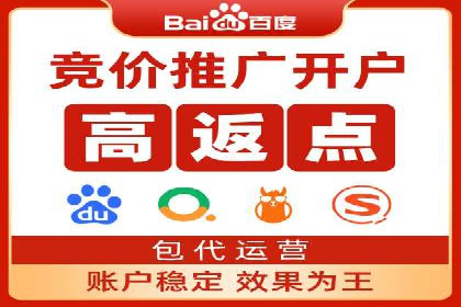 百度竞价赚钱技巧：实战案例分析